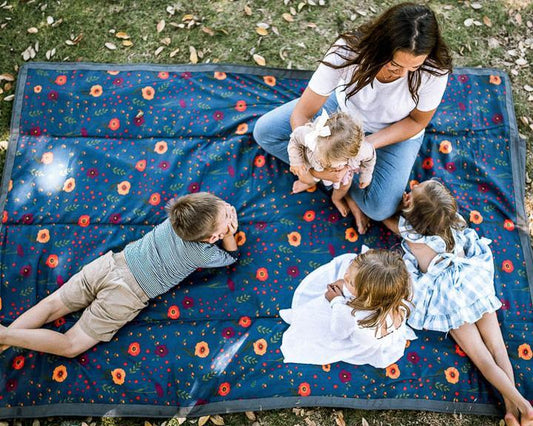 The Bring-It-Everywhere Blanket