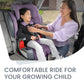 Girl rides in forward facing harness mode of Britax Grow With You ClickTight Plus Harness-2-Booster Seat - Purple Ombre Safewash