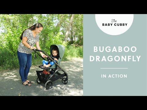 Baby best sale bugaboo meaning